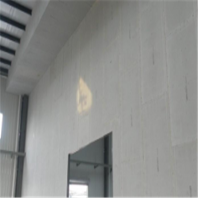 定南宁波ALC板|EPS加气板隔墙与混凝土整浇联接的实验研讨